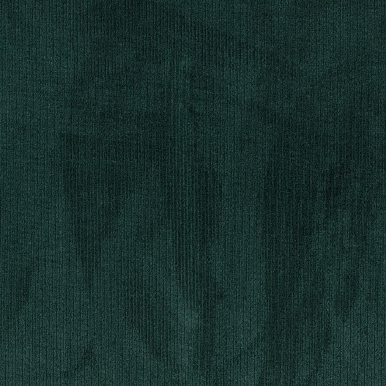 #color_corduroy-VERT-NORDMANN
