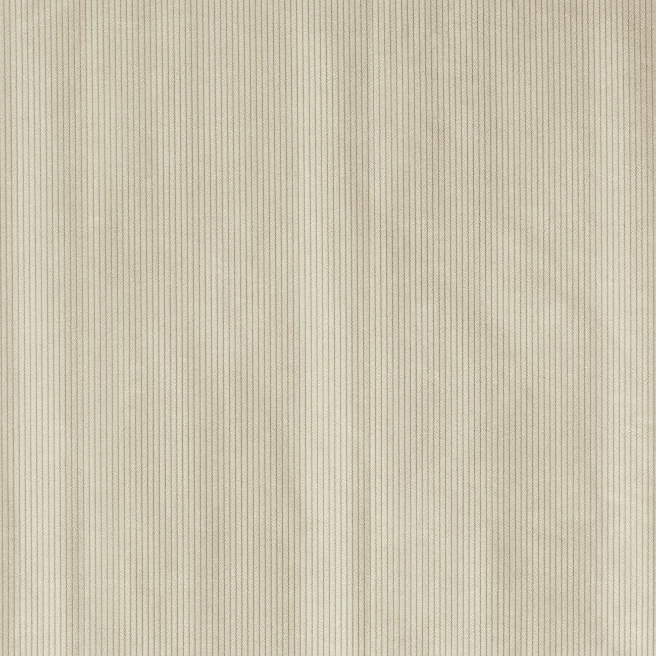 #color_corduroy-CRAIE