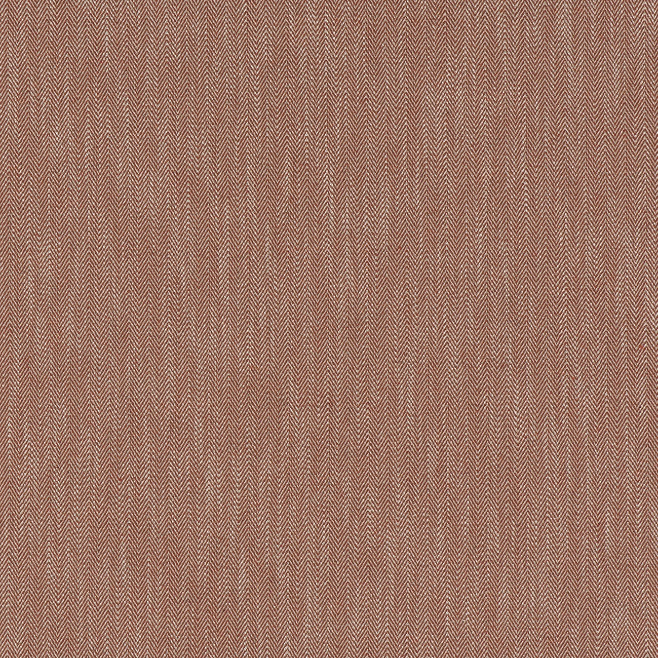 #color_charles-ORANGE-BRULEE
