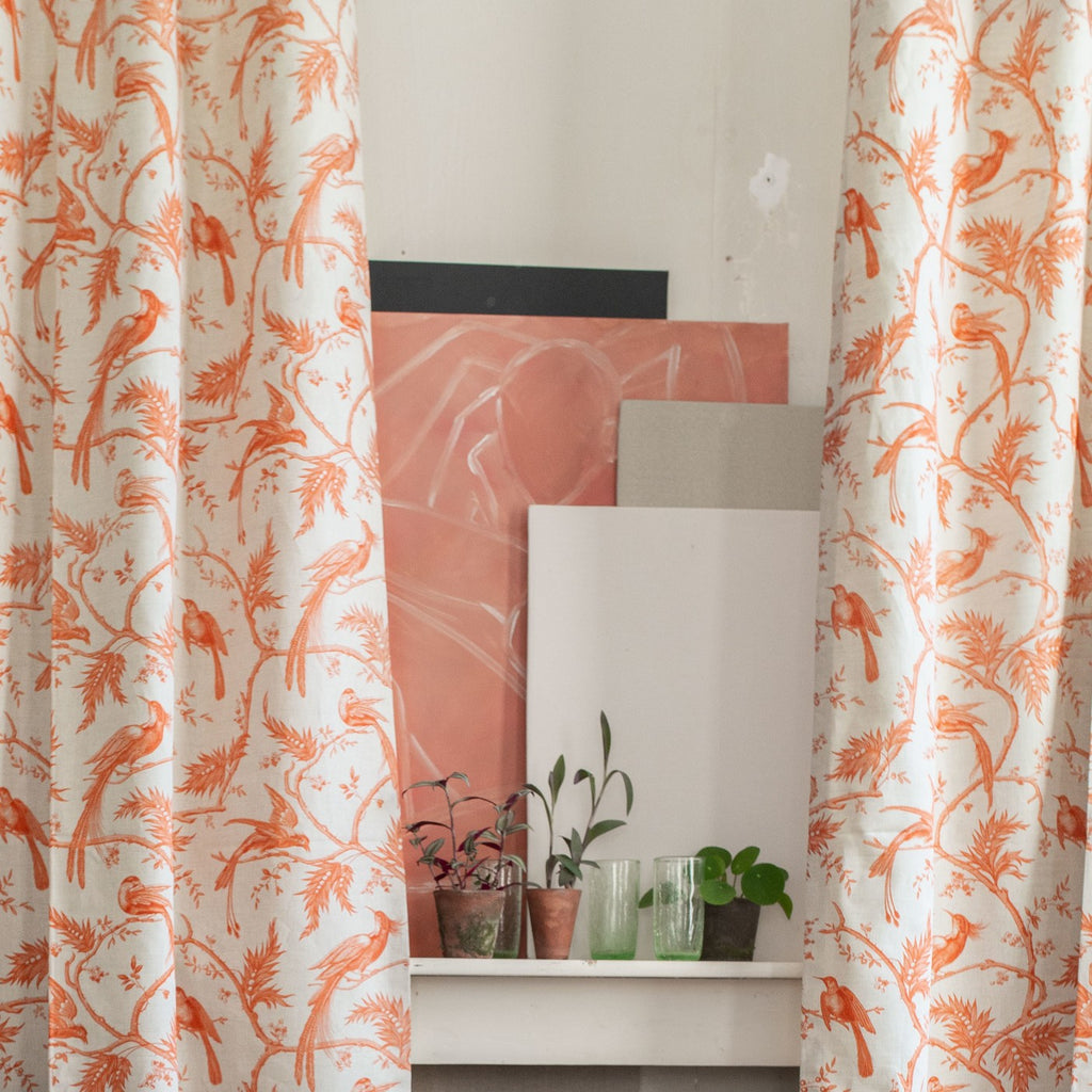 #color_paradise-ORANGE