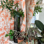 #color_paradise-ORANGE