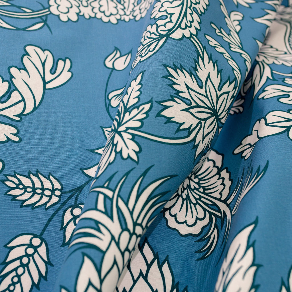 #color_pushkar-BLEU-CANARD