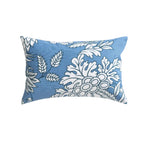 #color_pushkar-BLEU-CANARD