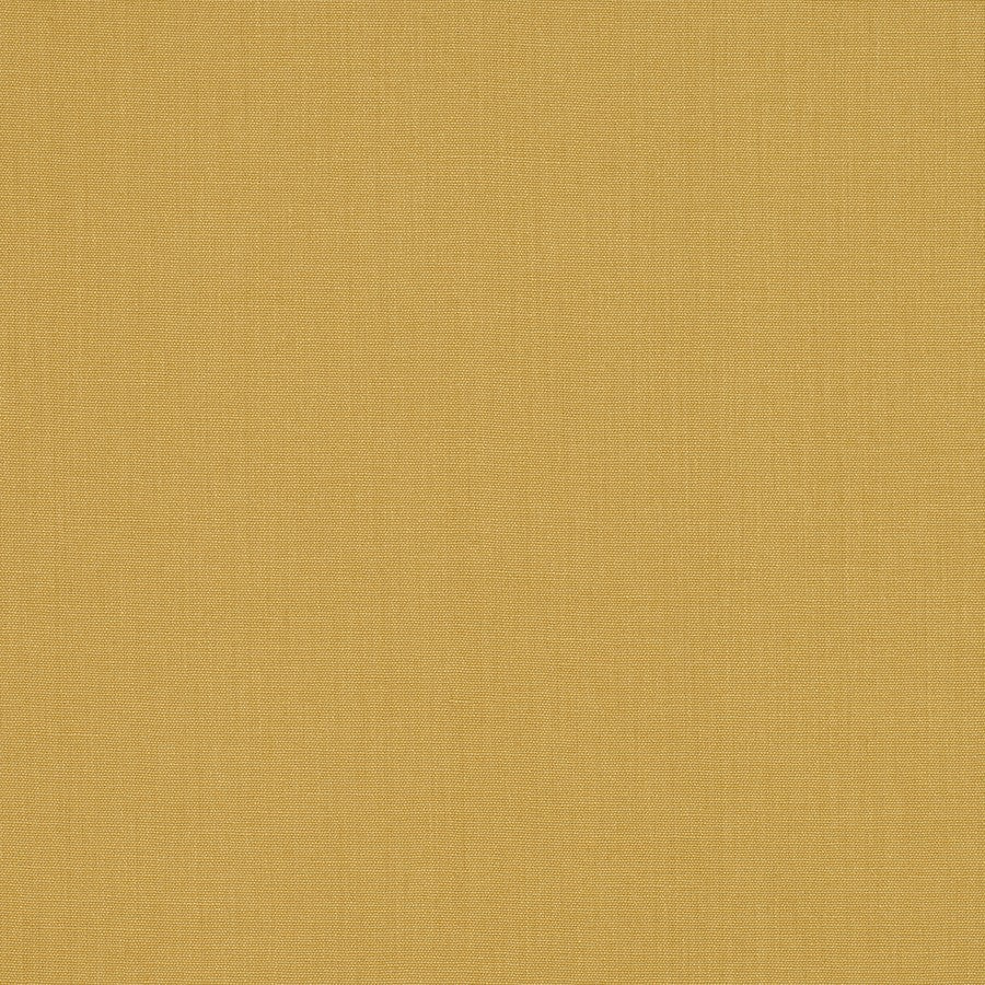 #color_janeiro-CURRY