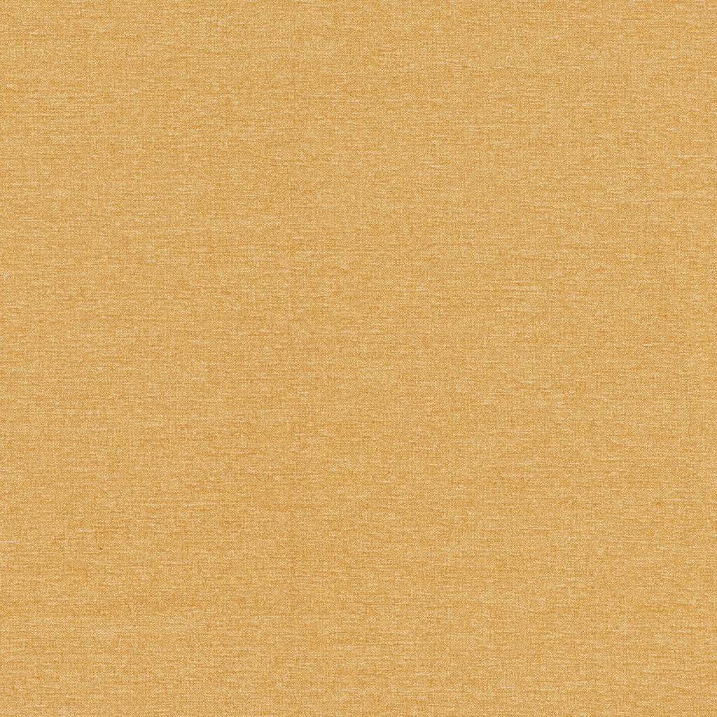 #color_henri-JAUNE-INDIEN