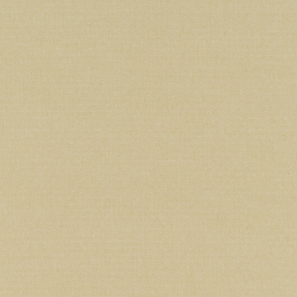 #color_edmond-VERT-ANIS