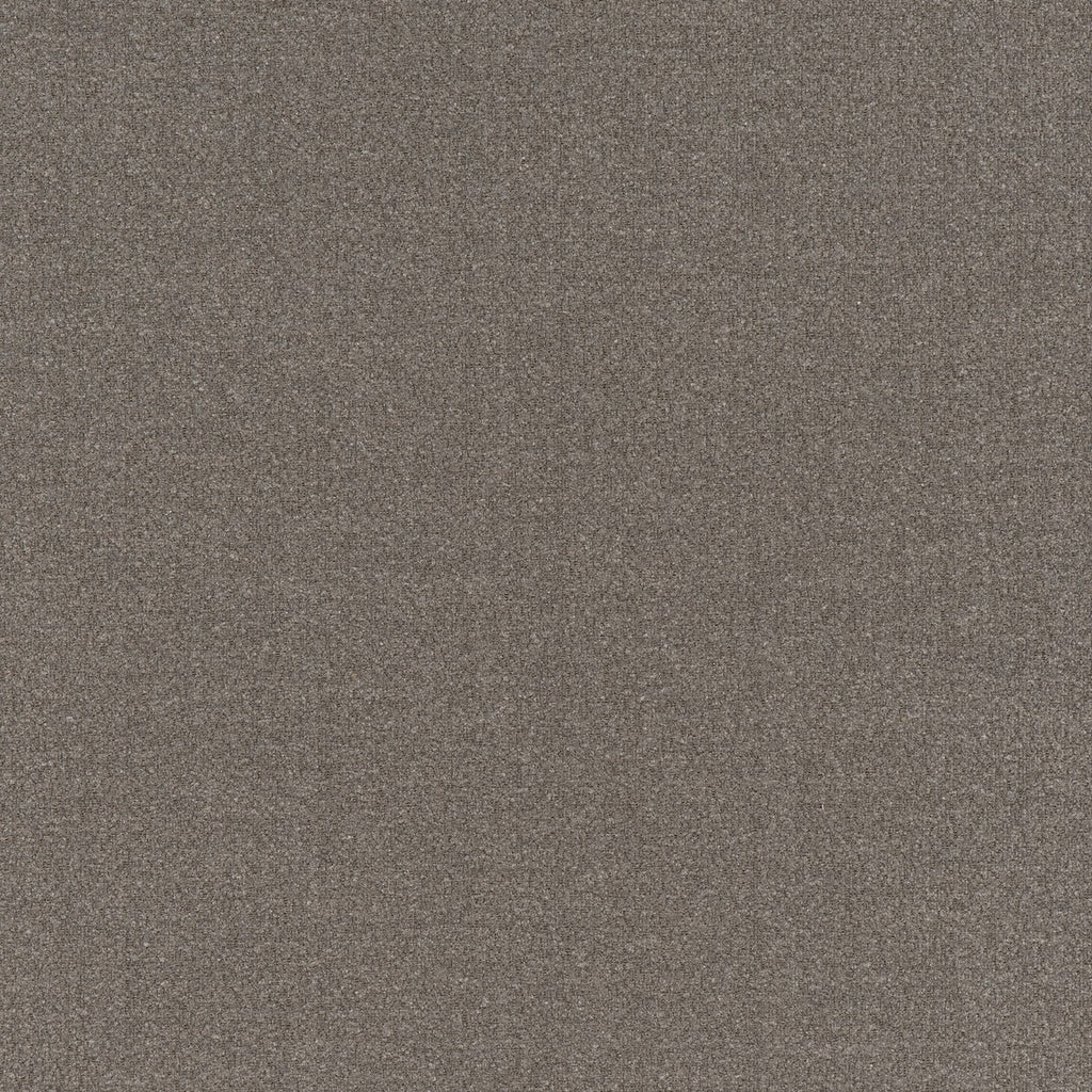 #color_ouessant-GRIS-ELEPHANT
