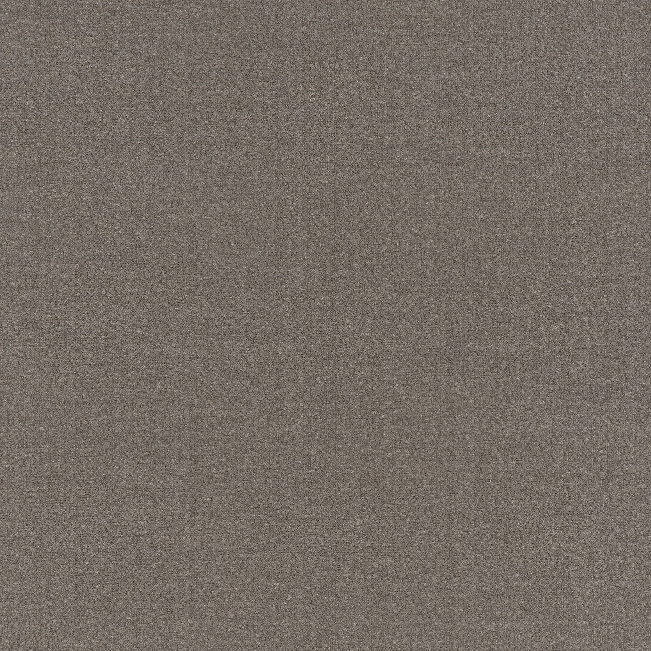 #color_ouessant-GRIS-ELEPHANT