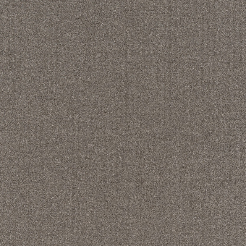 OUESSANT – coloris Gris elephant