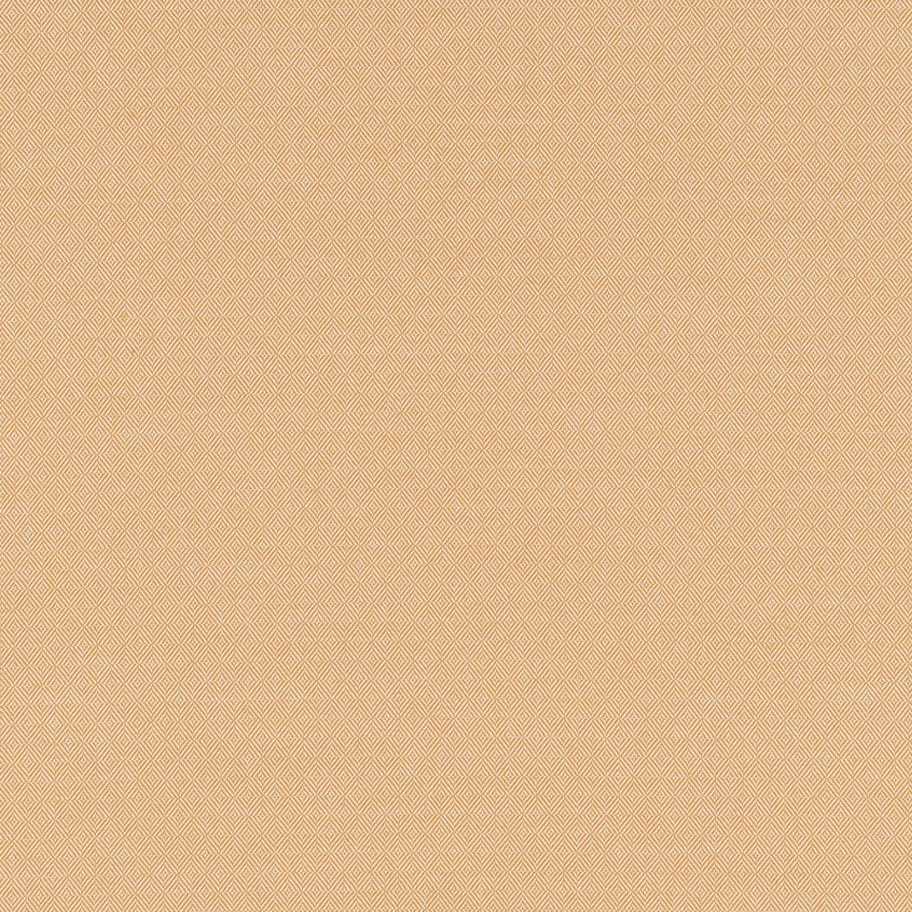 #color_edmond-JAUNE-INDIEN