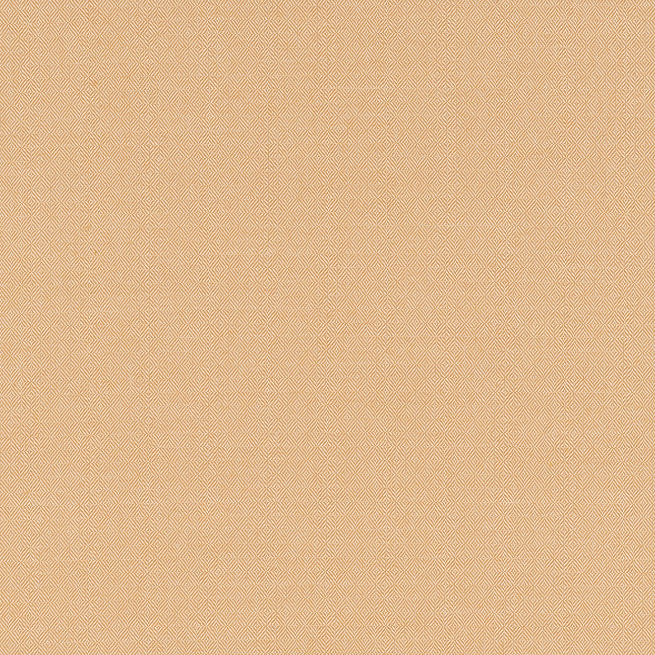 #color_edmond-JAUNE-INDIEN