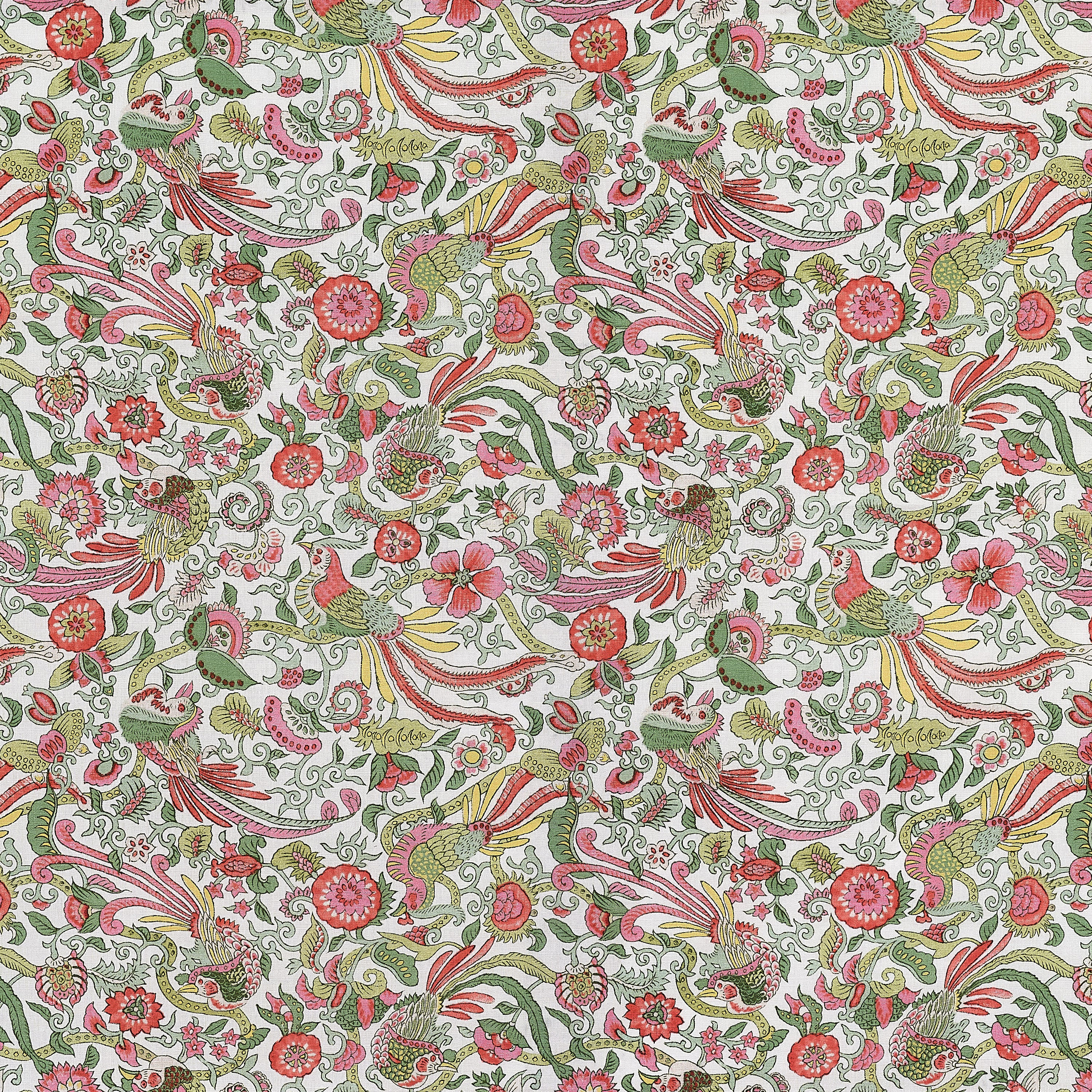 #color_lulu-corail