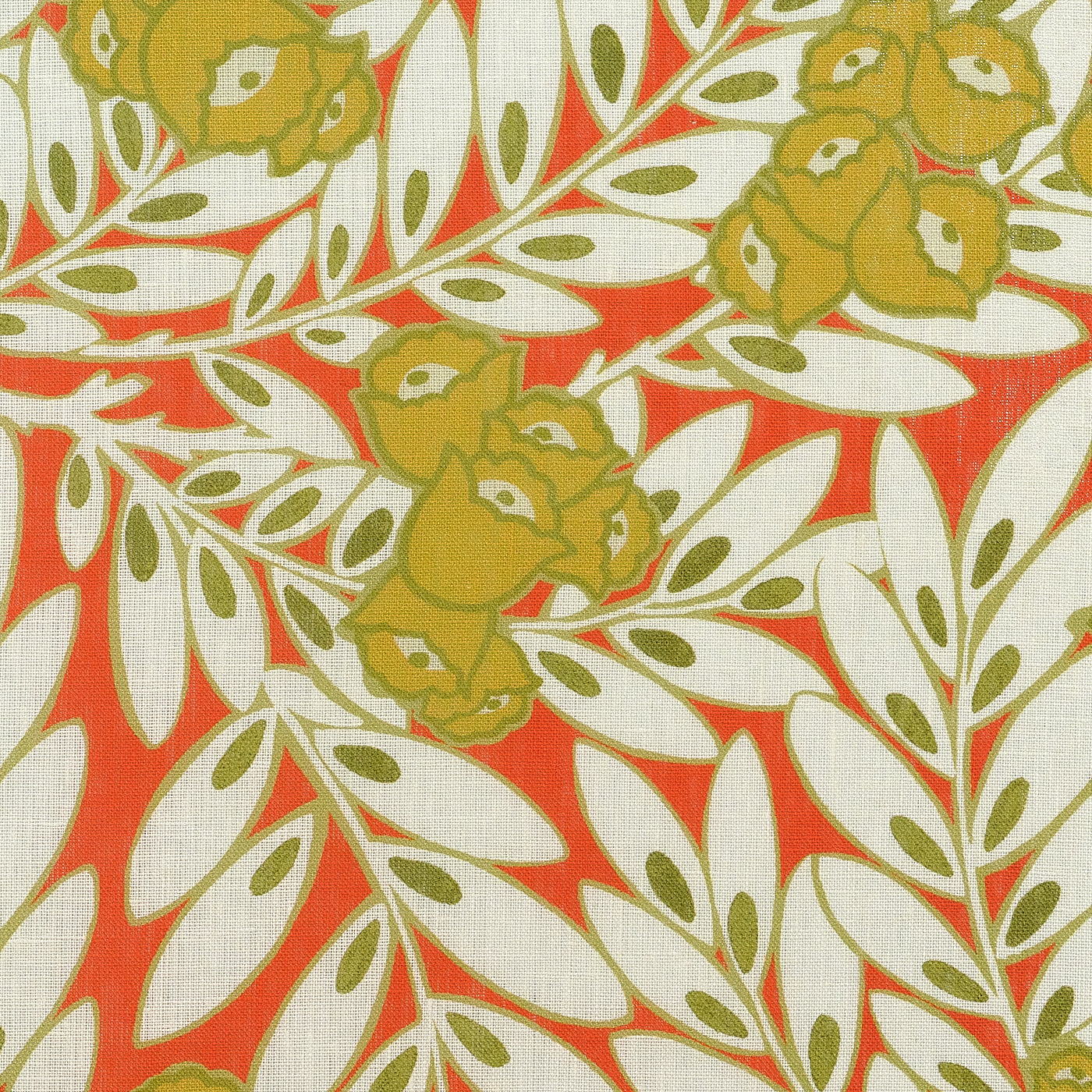 #color_matin-CITROUILLE